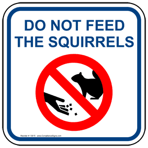 Se interzice să hrăniți animalele